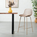 Tabouret de bar en plastique DANIELLA (65 cm, MARRON) - Siège durable et élégant