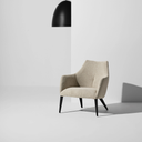 Renee Occasional Chair (Shell with Black Frame)