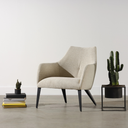 Renee Occasional Chair (Shell with Black Frame)