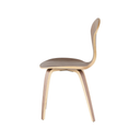 Satine Dining Chair (Walnut with Walnut Frame)
