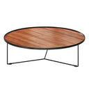 CATTELAN Billy Coffee Table (Walnut)