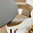 Portia Dining Chair (Oyster Velour)