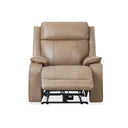 Brindle - Power Recliner