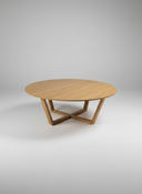TIEN Coffee Table
