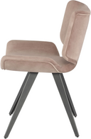 Astra Dining Chair (Blush with Titanium Legs)