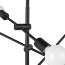 Byron Pendant Light (Black with Black Body)