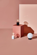 Felipa Table Lamp (Black with White Shade)