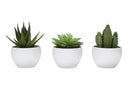 ARTIFICIAL PLANT - 3PCS / 6"H SUCCULENT IN A 3" WHITE POT