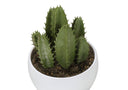 ARTIFICIAL PLANT - 3PCS / 6"H SUCCULENT IN A 3" WHITE POT