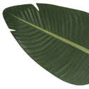 Majesty - INDOOR BIRD OF PARADISE
