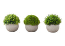 ‍ARTIFICIAL PLANT - 3PCS / 5"H GRASS IN A 3" GREY POT (100% off)