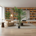 Kentia - Indoor Palm Tree