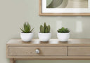 ARTIFICIAL PLANT - 3PCS / 6"H SUCCULENT IN A 3" WHITE POT