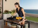 *PRE-ORDER ONLY* - Transformer Outdoor Bar Cart - Panel Storage