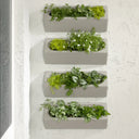 Dalya - Jardinière murale d'extérieur (lot de 4) - Gris